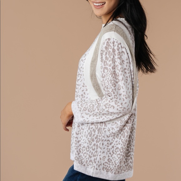 Racing Stripes Animal Print Top in Taupe - Picture 7 of 15